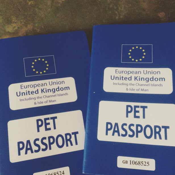 21690155_1948451285369507_7627792914751422464_n